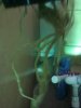 IMG_20110719_181001.jpg