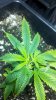 2011-07-20_19-23-23_594.jpg