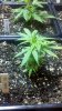 2011-07-20_19-25-24_507.jpg