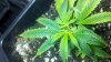2011-07-20_19-23-23_594.jpg