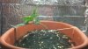 2011-07-21_21-16-59_176.jpg