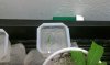 IMAG0404.jpg