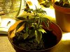IMG-20110722-00132.jpg
