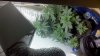2011-07-22_23-21-04_666.jpg