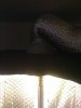 IMG_0231.jpg IMG_0231.jpg