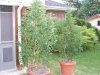 100_4016.jpg