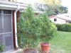 100_4011.jpg