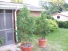 100_4012.jpg