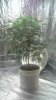 328921309_photobucket_72937_.jpg 328921309_photobucket_72937_.jpg