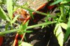 DSC01947.jpg