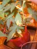 100_1831.jpg