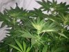 20110724145923.jpg