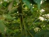 Dscf0004.jpg
