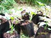 100_0171.jpg