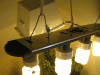 room-008.gif