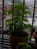 IMG_20110703_110853.jpg