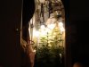 DSC01076.jpg DSC01076.jpg