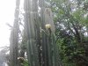 P260111_11.05.jpg