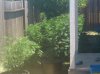IMG_20110720_132710.jpg
