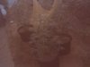 IMG_20110727_203402.jpg