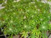 DSC00208.jpg