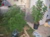 100_1860.jpg