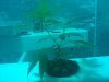 IMG_20110723_171340.jpg