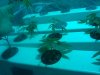 IMG_20110728_200939.jpg
