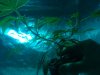 IMG_20110729_170335.jpg
