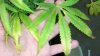 2011-07-31_02-15-15_850.jpg