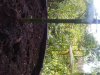 IMG00276-20110801-1604.jpg
