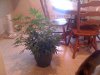 IMG_0319.jpg IMG_0319.jpg