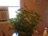 IMG_0318.jpg IMG_0318.jpg