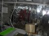 DSCN0072.jpg