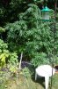 DSC03880.jpg