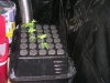 DSCN1725.jpg