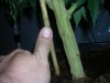 DSCN1732.jpg