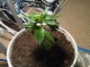 IMG00078-20110802-0040.jpg