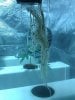 IMG_20110802_194547.jpg