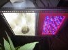 20110710-ledcmh2.jpg 20110710-ledcmh2.jpg