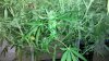2011-08-03_00-59-43_716.jpg