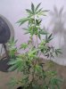 2011-08-03 22.43.35.jpg