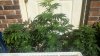2011-08-04_09-49-45_146.jpg
