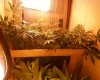 Photo-0034.jpg