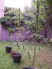 100_0291.jpg