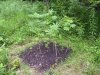 100_0501.jpg