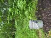 100_0502.jpg