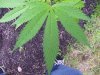 100_0504.jpg