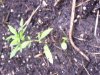 100_0510.jpg