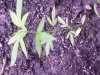 100_0512.jpg
